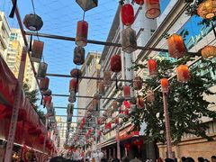 -越秀西湖花市(广州城市广场花卉店)