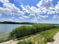 -兄弟联果木炭烤翅·50年家传鸡翅秘方