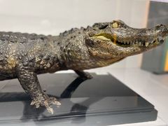 -中国湿地博物馆