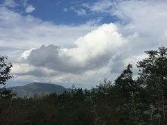 -姚记抚仙湖石锅鱼庄