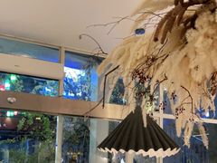 -春树下·树屋花房西餐厅(罍街AS1980店)