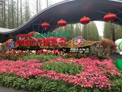 -东平国家森林公园