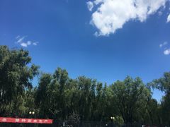 -青年湖公园水上世界