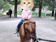 -秀丽东方