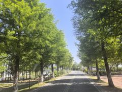 -祝甸砖窑文化馆