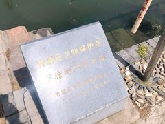 -状元楼(金溪路店)