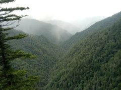 -凤凰山国家森林公园