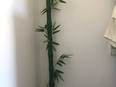 -新碧水留香新桑拿