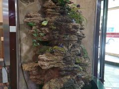 -齐海鱼圣深海石斑鱼火锅店(极地海洋世界店)