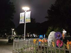 -金砂公园