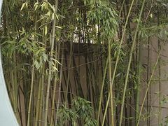 -春晖园度假酒店温泉