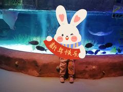 -沈阳海洋探索中心