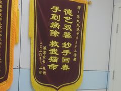 -中农国际动物医院24小时·猫科·骨科·急重症中心