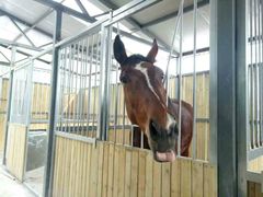 -月河湾马术俱乐部(朝阳店)