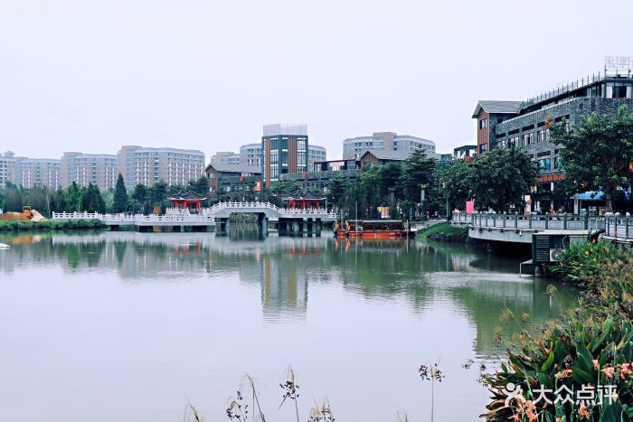 華陽湖溼地公園圖片 - 第2張