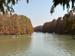 -上海海湾国家森林公园