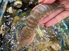 -马王堆海鲜水产市场