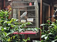 -束河人家(南锣鼓巷店)