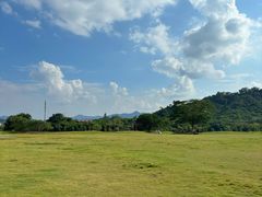-风云岭森林公园