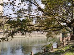 -成都市活水公园