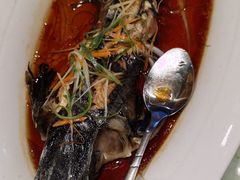 -老山东·山东菜(鲁菜名店)