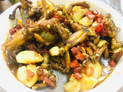 青蛙-铁头烧菜馆(立新路店)