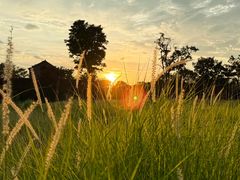 -汉长安城未央宫国家考古遗址公园