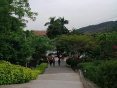 -仙岳公园