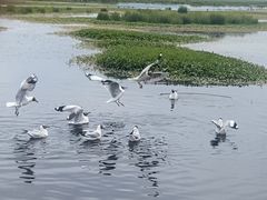 -花湖生态旅游区