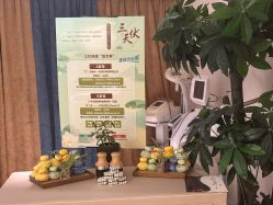 -东英经典SKIN&SPA