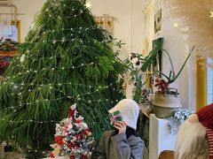 -知物癖(牛王庙店)