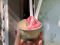 -Dip in Gelato(富民路店)