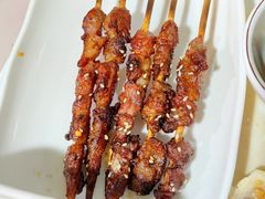 -东鸽皇(奥园·中环广场店)