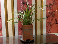 -杭州香格里拉·香宫中餐厅