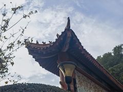 -宝岛公园