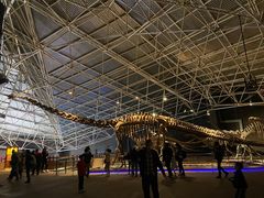 -世界恐龙谷景区