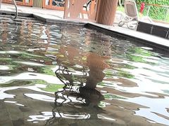 -碧水湾温泉