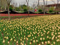 -廊坊文化艺术中心