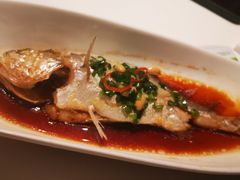 小黄鱼-满满海佛跳墙(千禧店)