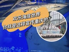 -重庆欢乐海底世界