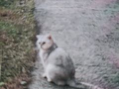 -福瑞记老孙头biangbiang面(新生路店)