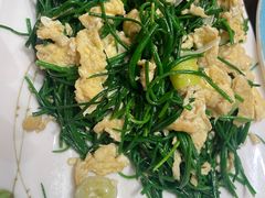 -靖远尕六美味羊羔肉
