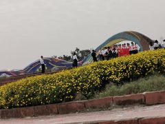 -白鹭湾湿地公园