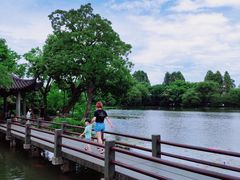 -西湖游船