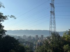 -缙云山景区