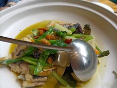 -饭怕鱼(阳光100店)