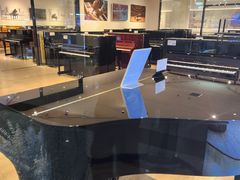 -柏斯音乐艺术中心·钢琴·吉他(世纪金源店)