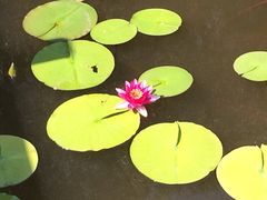 -文瀛公园