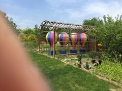 -上海植物园-4号门售票处