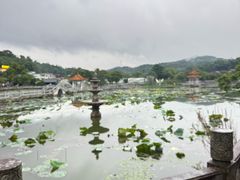 -红山村